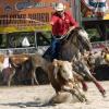 rodeo.jpg